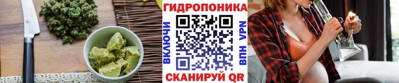 Canna-Cookies марихуана  Гвардейск 