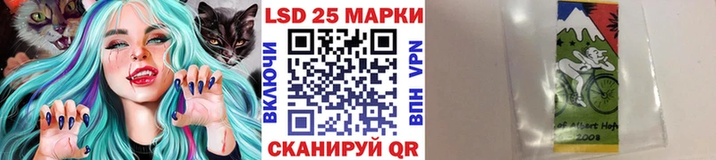 Марки N-bome 1500мкг  darknet наркотические препараты  Гвардейск 