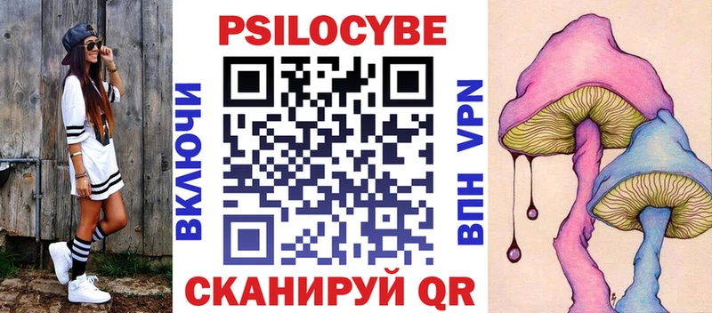 где можно купить наркотик блэк спрут онион мориарти официальный сайт Гвардейск Галлюциногенные грибы Magic Shrooms